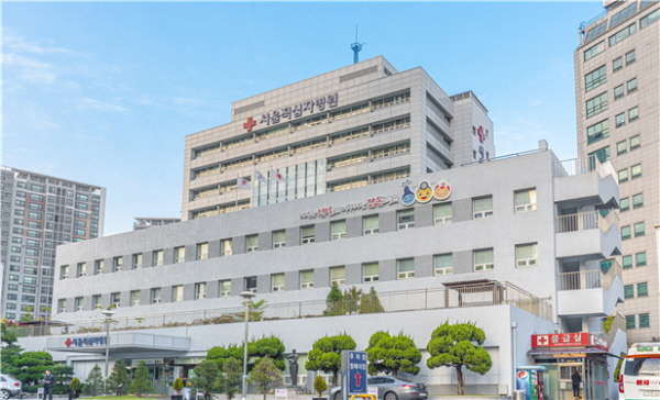 서울적십자병원