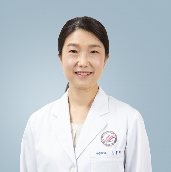 송홍지