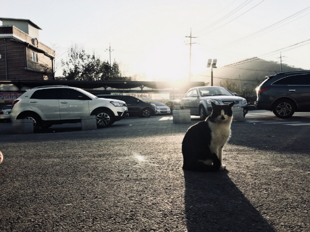 빠욘